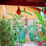 Encanto Mada\'S Itamambuca